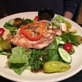Closeup shot of the chicken greek salad